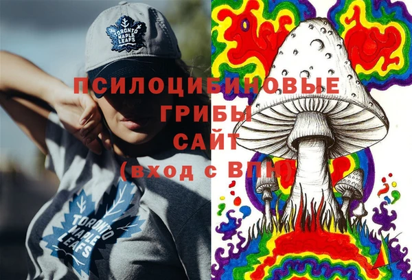 ешки Абаза