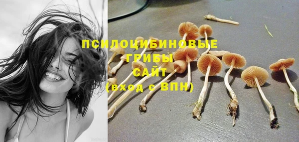 ешки Абаза