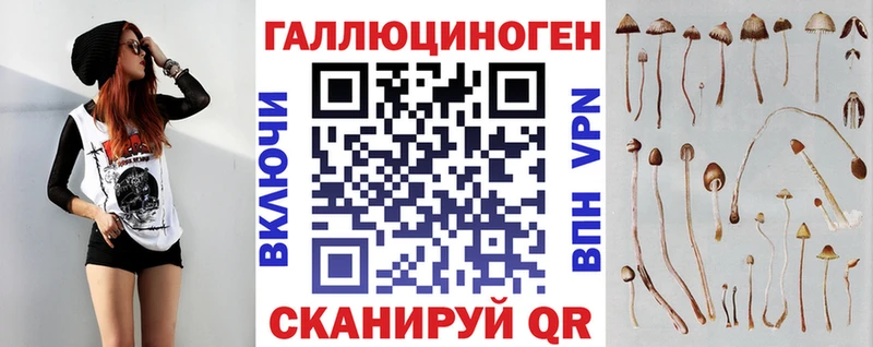 хочу   Эртиль  Галлюциногенные грибы Psilocybine cubensis 